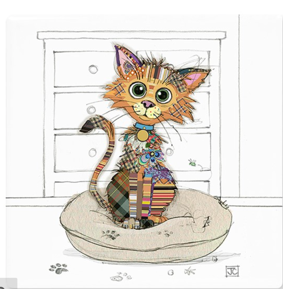 Scruffy Kitten Coaster