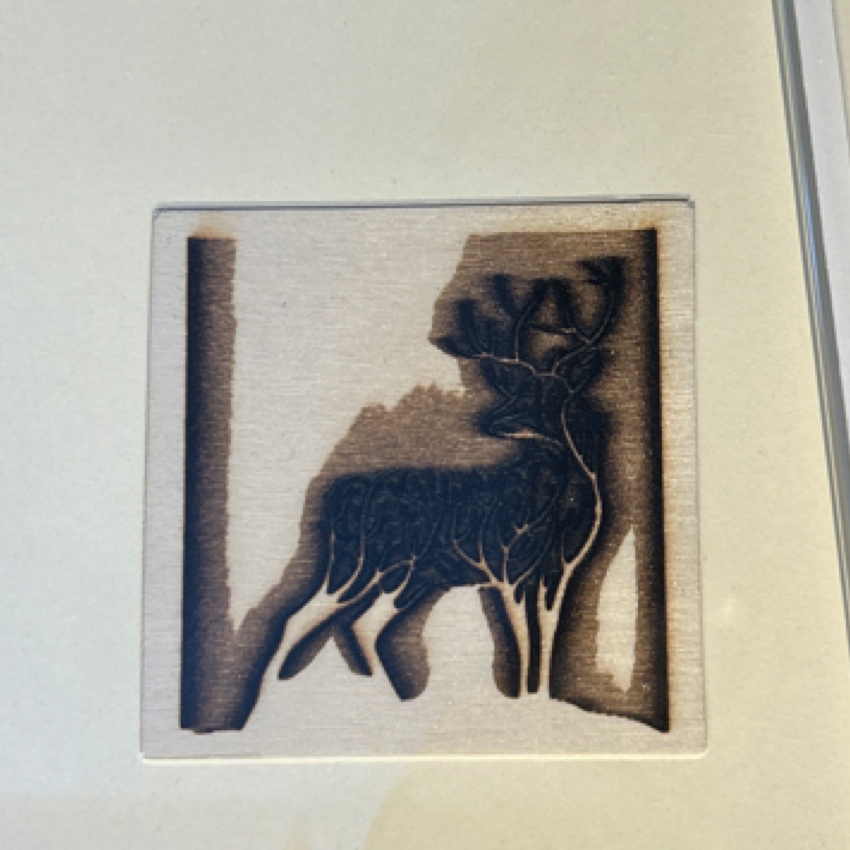 Cards - Deer