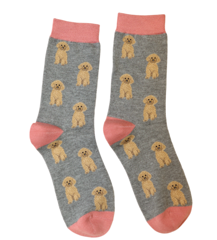 Cute Cockapoo - Grey
