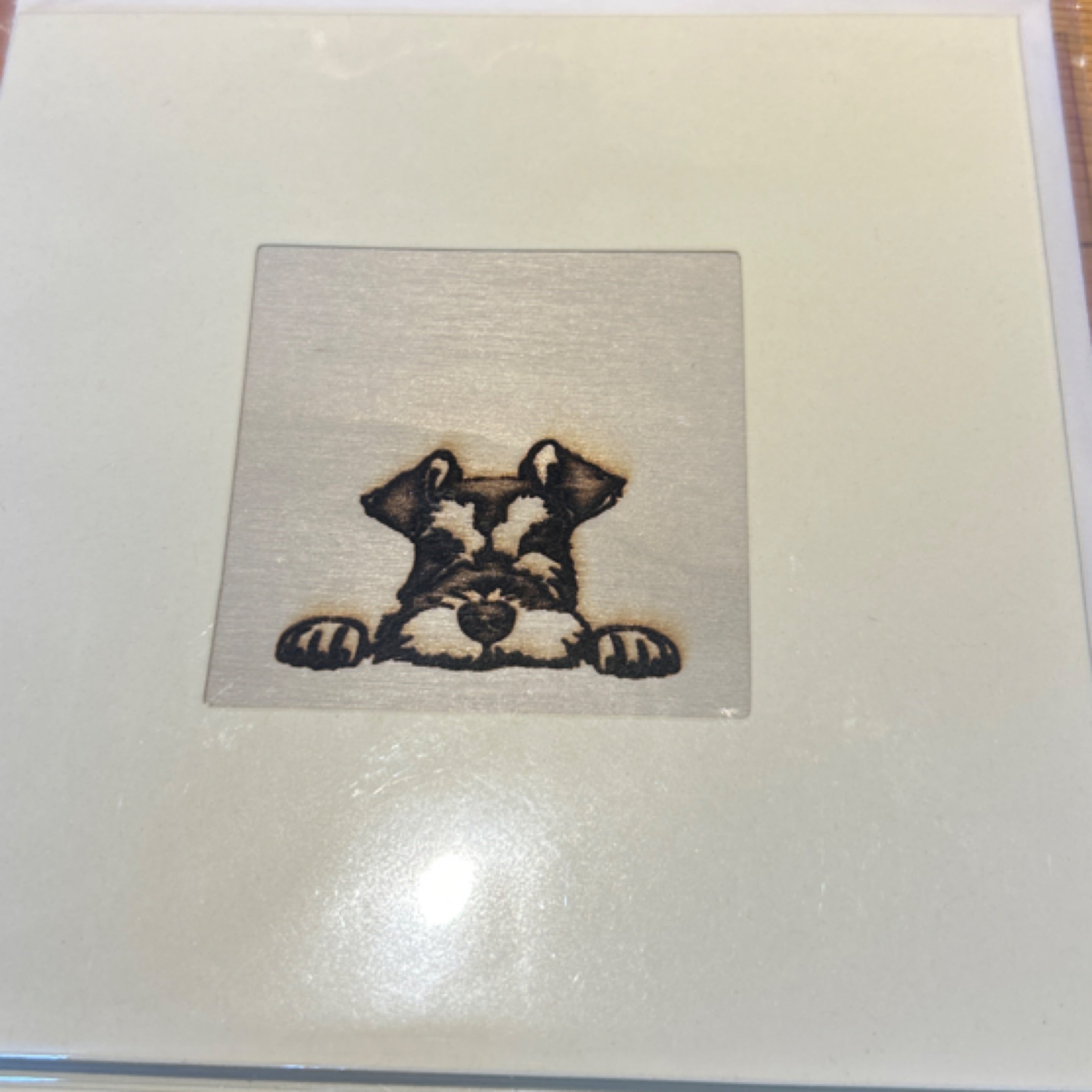 Cards - Schnauzer