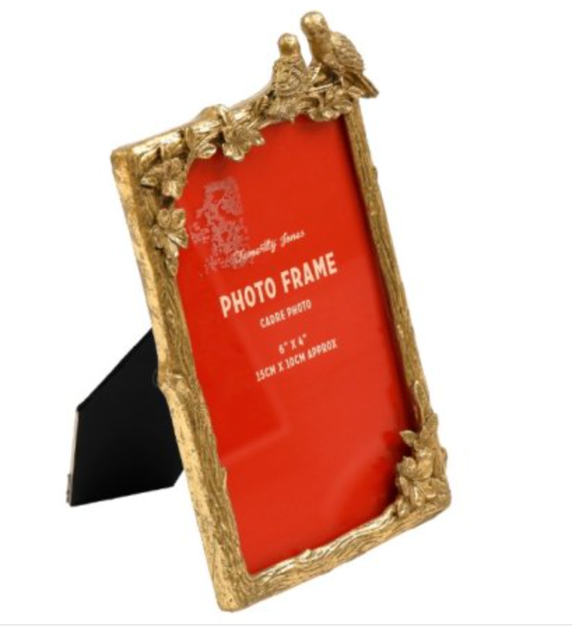 Love-Birds Photo Frame
