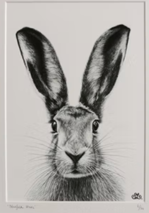 SL Cards - Norfolk Hare