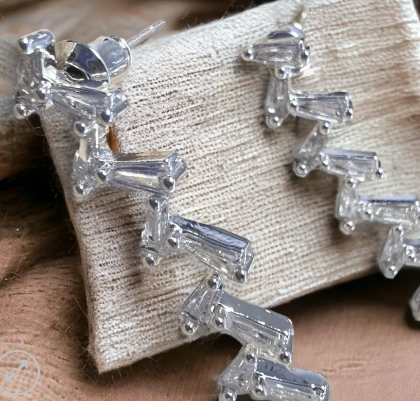 Diamnate Zigzag Earrings - Silver - ER155S