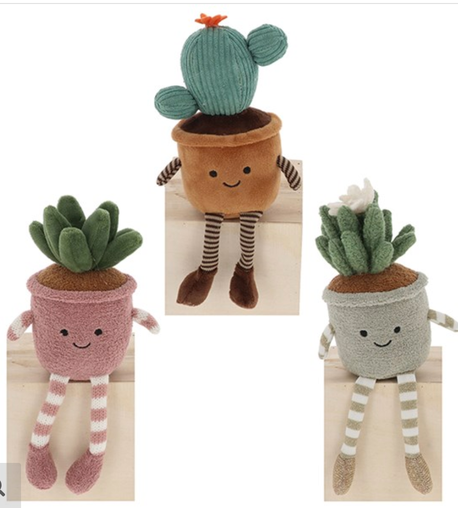 Pot Plant Pal - Cactus