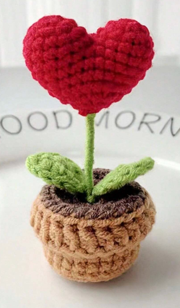 Knitted Heart Plant